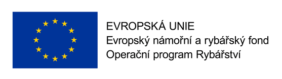 evropska unie