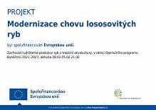 Modernizace chovu lososovitých ryb
